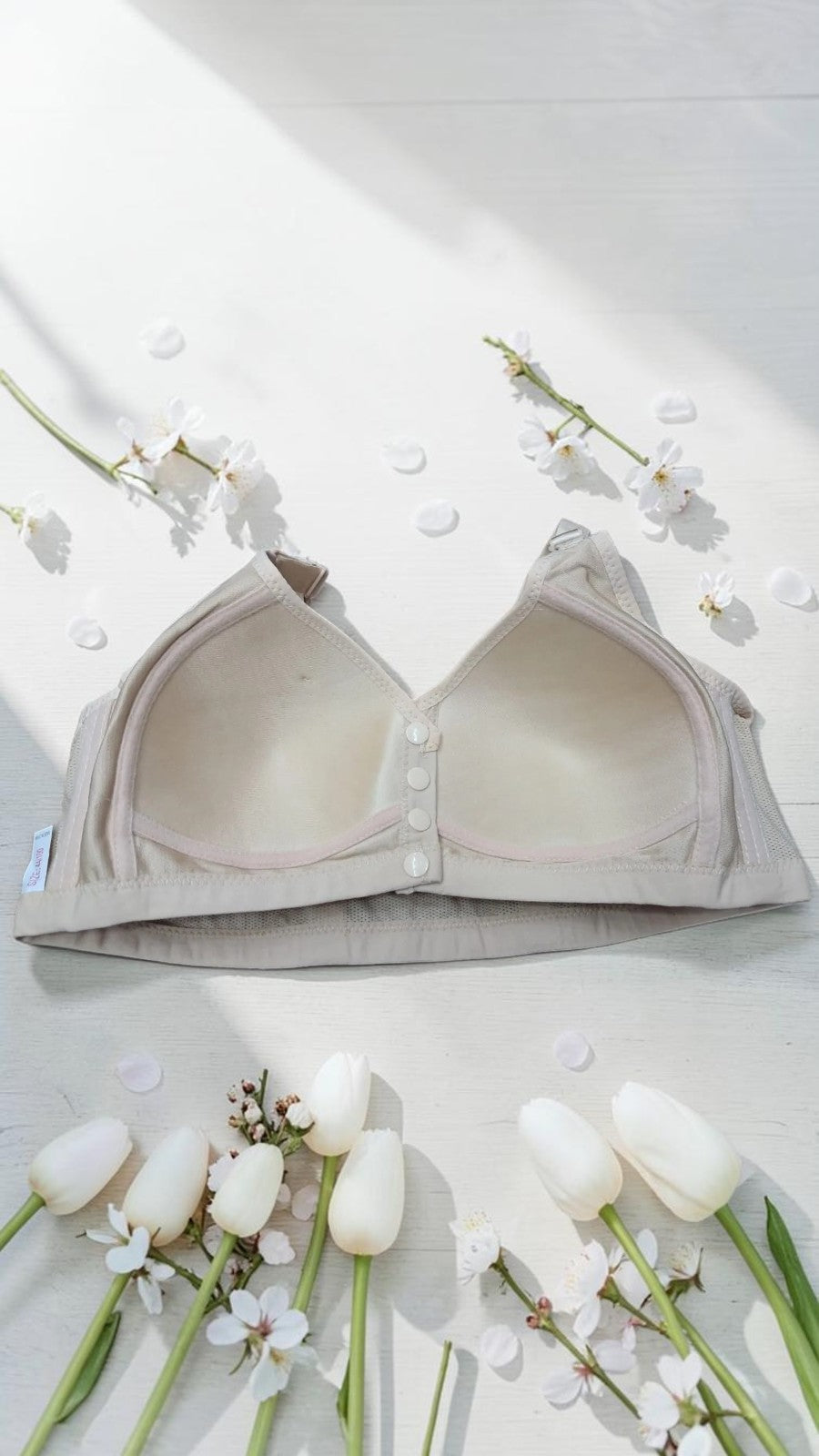 Seamless Front Open Padded Bra ( Pack of 2 )