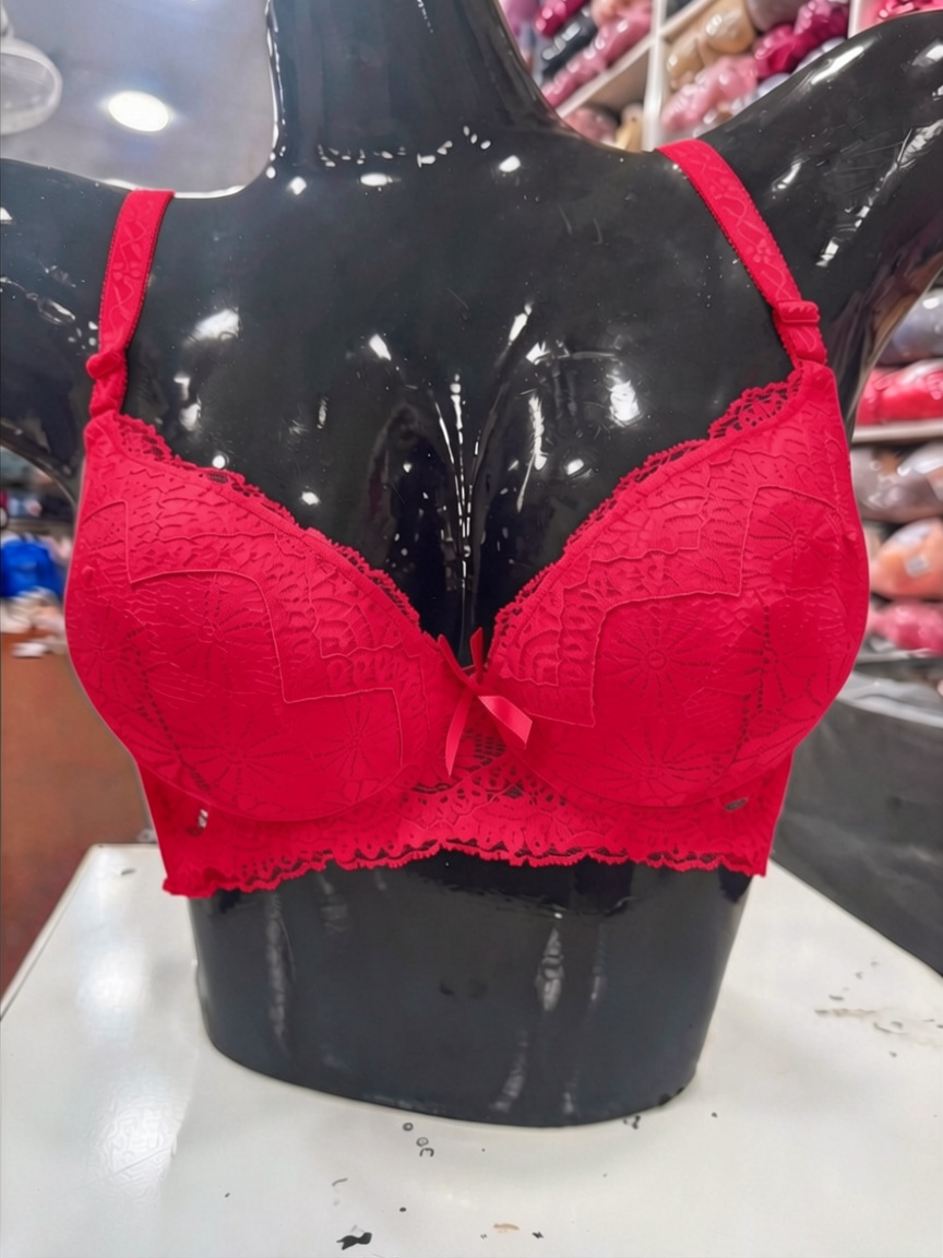 Floral Lace Padded Bra for